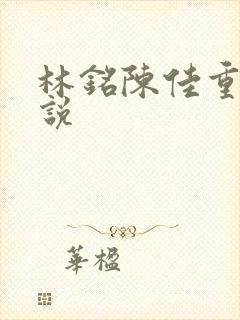 林铭陈佳重生小说