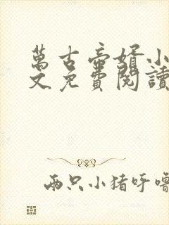 万古帝婿小说全文免费阅读无弹窗