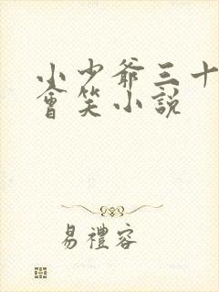 小少爷三十天后会笑小说