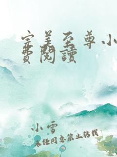 完美至尊小说免费阅读