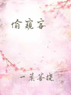 偷窥客