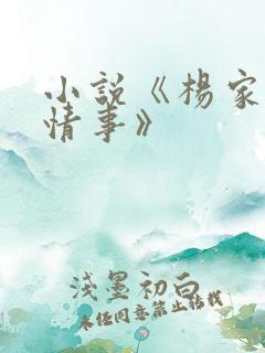 小说《杨家洼的情事》