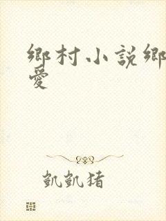 乡村小说乡村欲爱