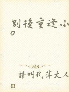 别后重逢小说po