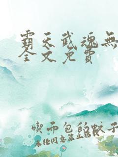 霸天武魂无弹窗全文免费