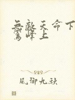 无敌天命下载青鸾峰上