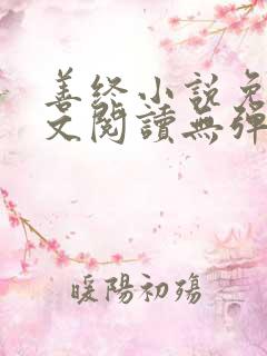 善终小说免费全文阅读无弹窗