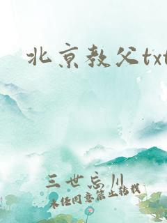 北京教父txt