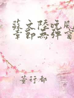 苏文陆晚风最新章节无弹窗笔趣阁