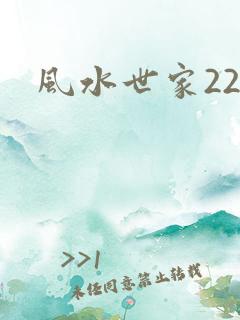 风水世家229