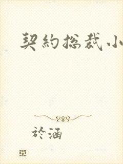 契约总裁小萌宝