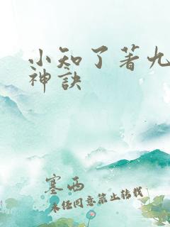 小知了著九天斩神诀
