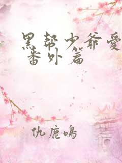 黑帮少爷爱上我 番外篇