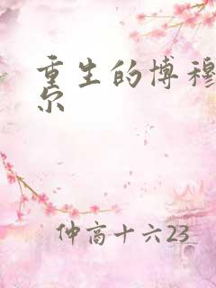 重生的博穆博果尔