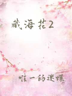 藏海花2