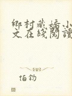 乡村藏娇小说全文在线阅读