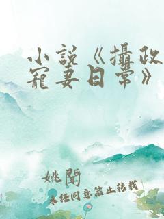 小说《摄政王的宠妻日常》