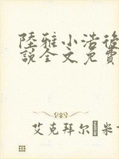 陆雅小浩后妈小说全文免费阅读