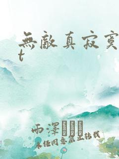 无敌真寂寞txt