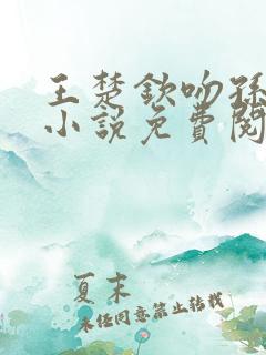 王楚钦吻孙颖莎小说免费阅读