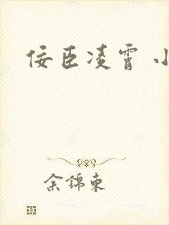 佞臣凌霄 小说
