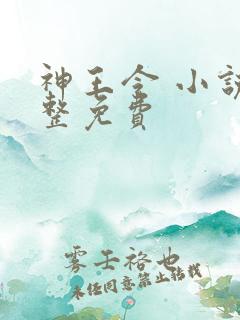神王令 小说完整免费