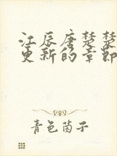 江辰唐楚楚刚刚更新的章节目录