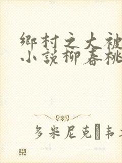 乡村之大被同眠小说柳春桃
