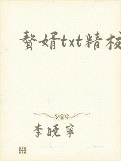 赘婿txt精校