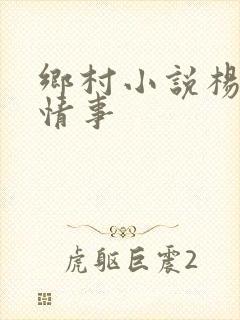 乡村小说杨家洼情事