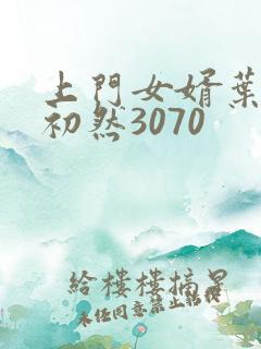 上门女婿叶辰萧初然3070