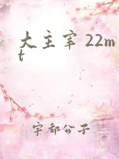 大主宰 22mt