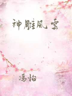 神雕风云