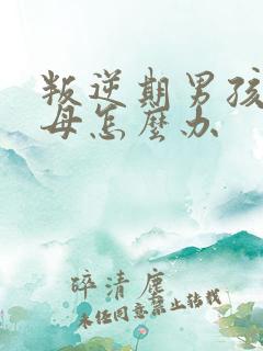 叛逆期男孩骂父母怎么办