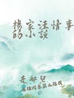 杨家洼情事类型的小说