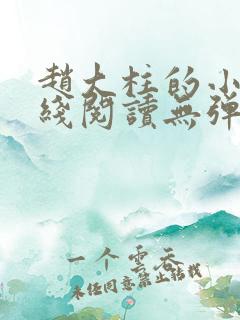 赵大柱的小说在线阅读无弹窗