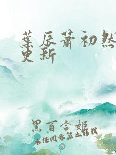 叶辰萧初然继续更新