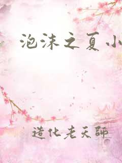 泡沫之夏小说1