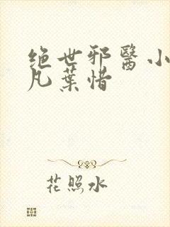 绝世邪医小说林凡叶惜