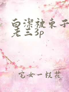 白洁被东子老二老三3p