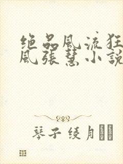 绝品风流狂医林风张慧小说电子书