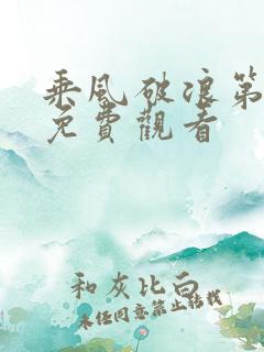 乘风破浪第五季免费观看