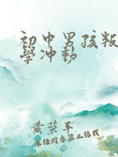 初中男孩叛逆厌学冲动