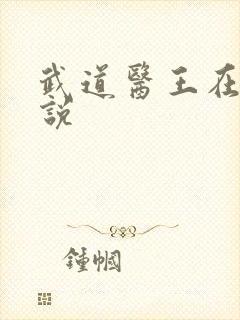 武道医王在线小说