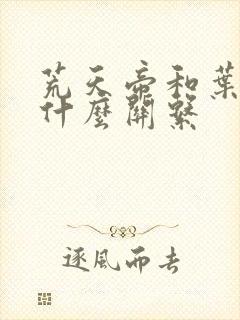 荒天帝和叶天帝什么关系