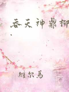 吞天神鼎柳无邪.