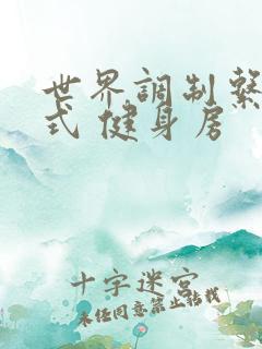 世界调制系统模式 健身房