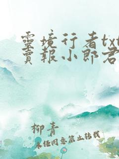 灵境行者txt卖报小郎君