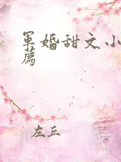 军婚甜文小说推荐