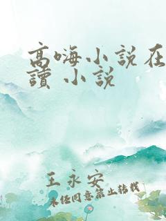 高嗨小说在线阅读 小说